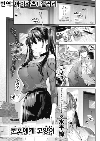 Bungou ni Neko | 문호에게 고양이 cover