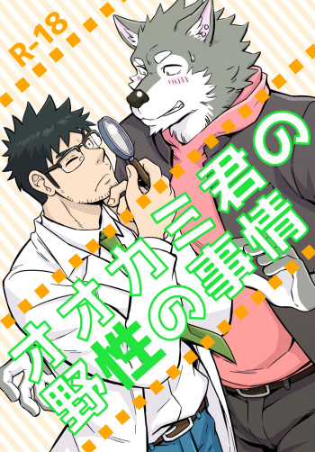 Ookami-kun no Yasei no Jijou cover