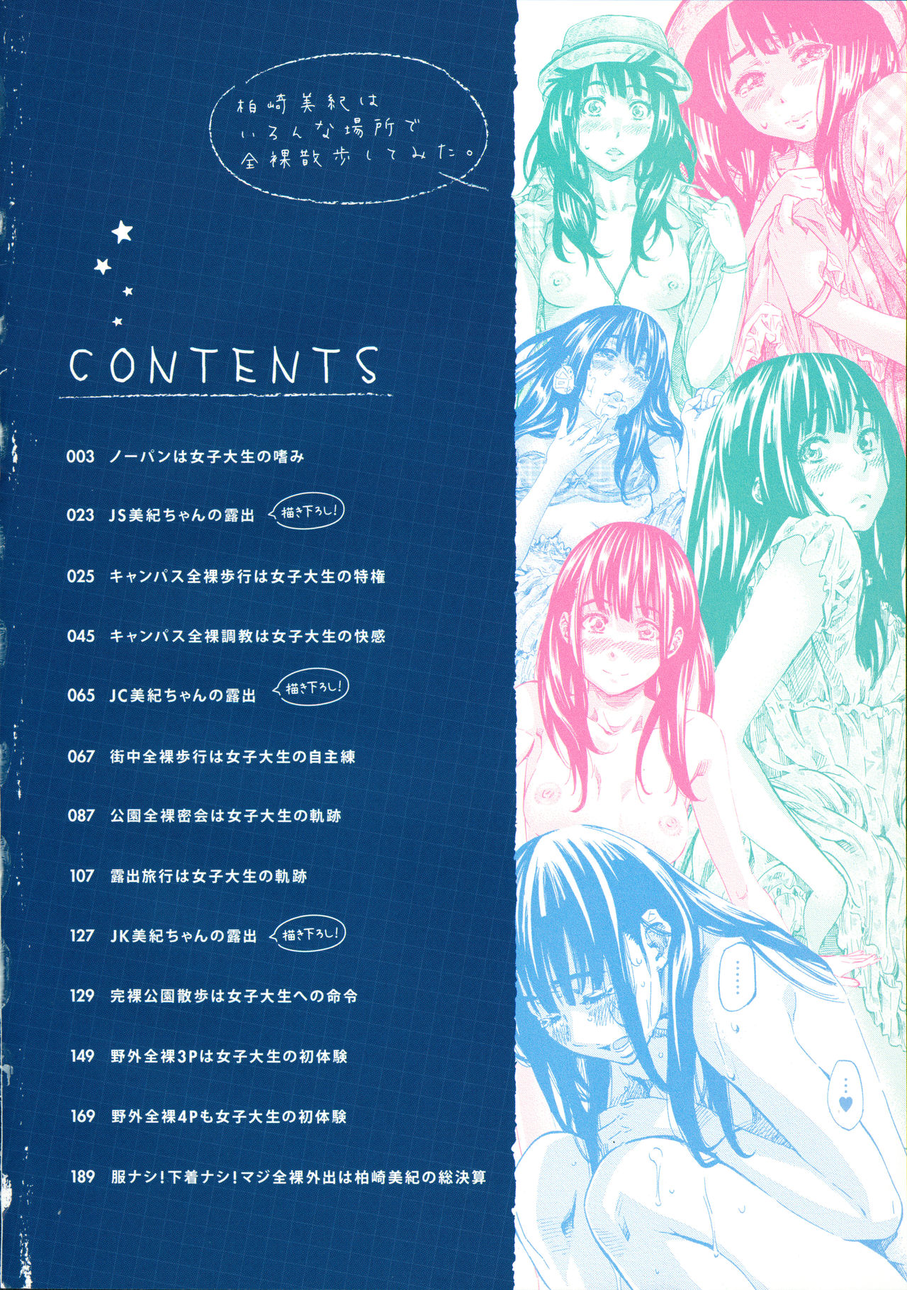 Kashiwazaki Miki wa Ironna Basho de Zenra Sanpo Shite Mita page 4 full
