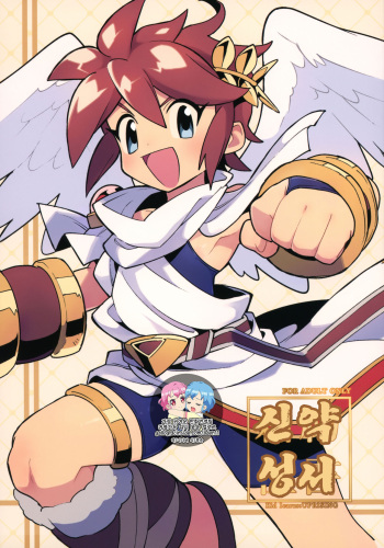 Shinyakuseisho cover