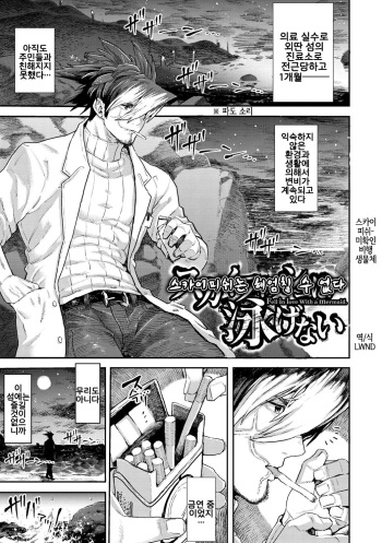 Skyfish wa Oyogenai cover