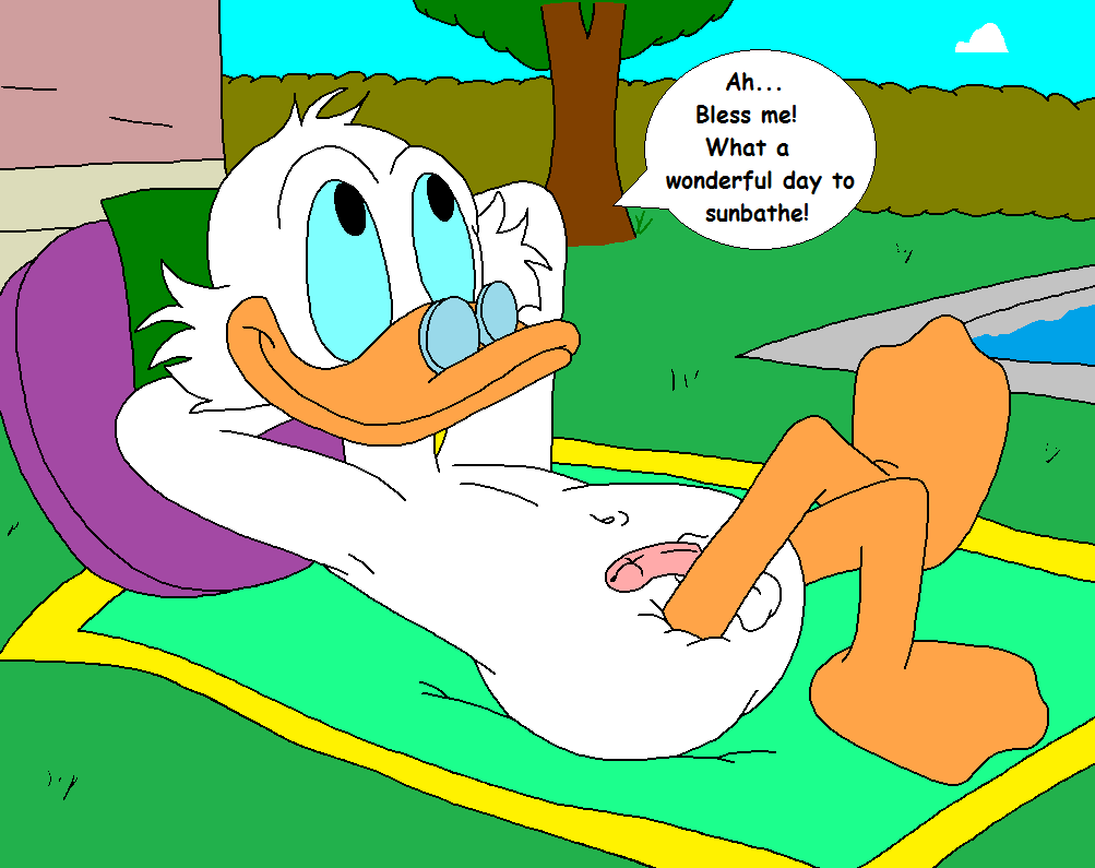 Donald vs. Scrooge: Survivalists page 1 full