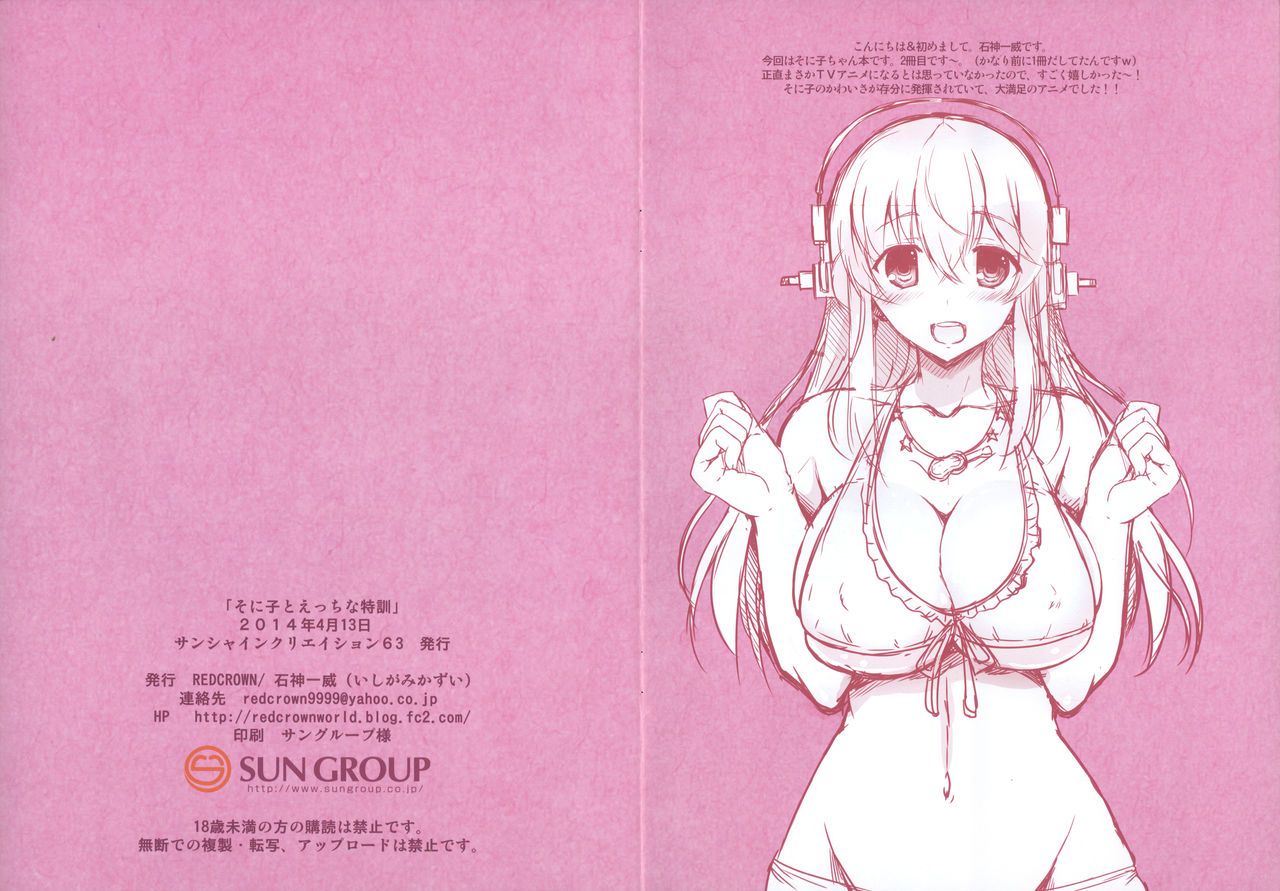 Sonico To Ecchi na Tokkun | 소니코와 엣찌한 특훈 page 2 full