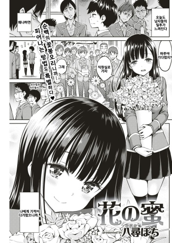 Hana no Mitsu cover