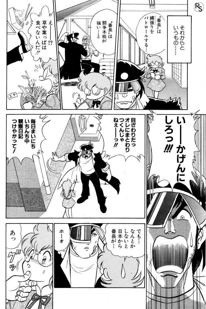 Protect page 6 full