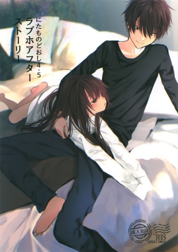 Nitamonodoosi4.5 LoveHo After Story cover