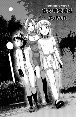 Sei Shounen Kouryuu 4-5 cover