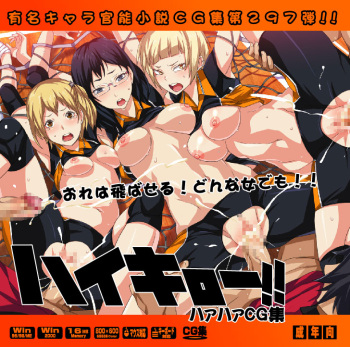 Yuumei Chara Kannou Shousetsu CG Shuu No. 297!! Haikyuu!! HaaHaa CG Shuu cover