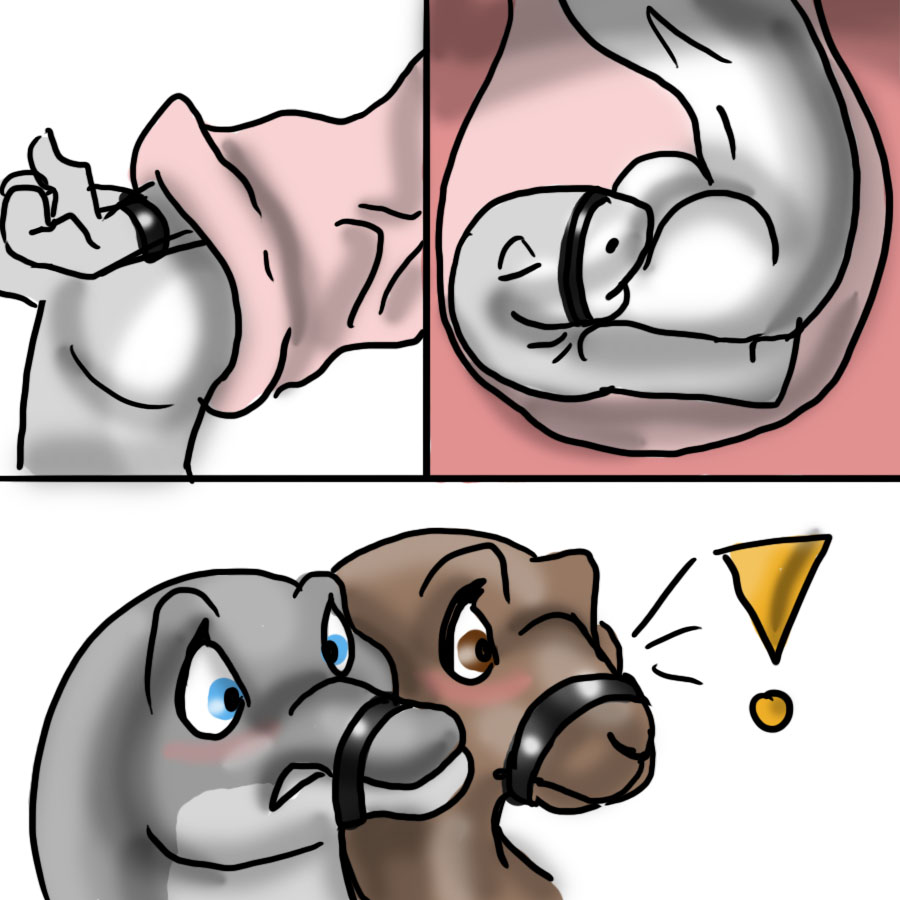 Free Salty Tastes page 3 full