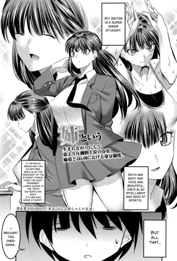 Hontou wa H na Onee-chan no Tomodachi cover