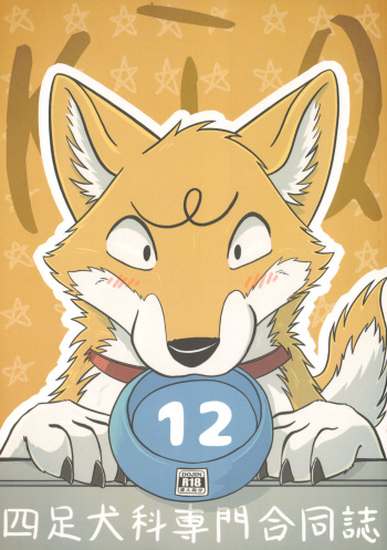 KTQ 12 cover