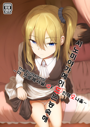 Shinomiya no Maid wa Tokojyouzu~ Professional Jintai Onahole cover