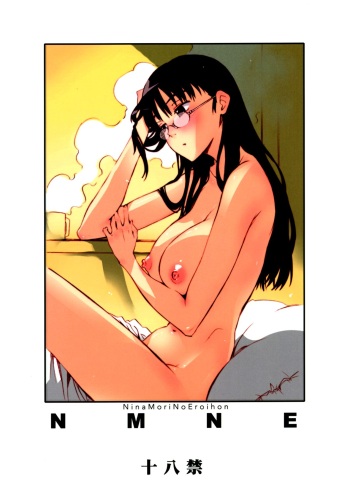 NMNE - Nina Mori No Eroihon cover