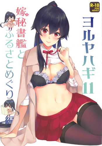 Yoru Yahagi 11 cover