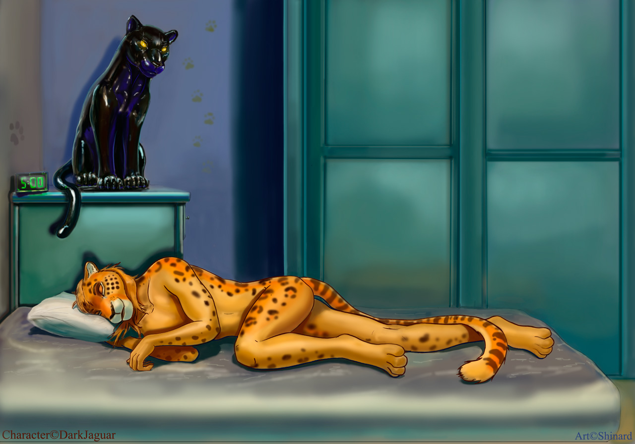 At night all panther are squeak by Shinard page 3 full