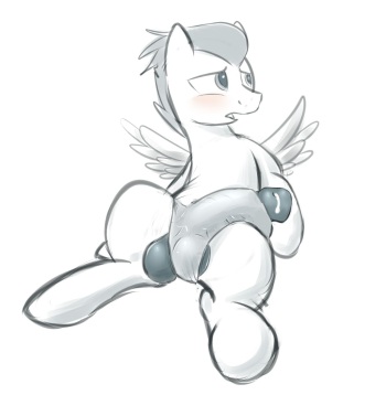 braeburned foalcon cover