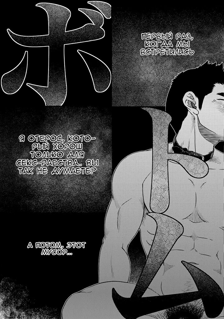 Bottom page 5 full