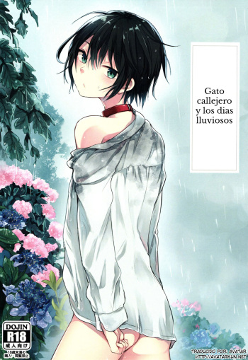 Nora Neko to Rainy Days cover