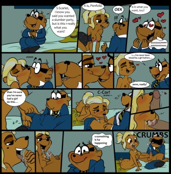 Penfold's First Time cover