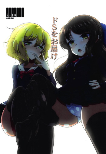 Do-S o Otodoke cover