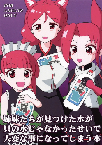 Shimai-tachi ga Mitsuketa Mizu ga Tada no Mizu ja Nakatta Sei de Taihen na Koto ni Natte Shimau Hon cover