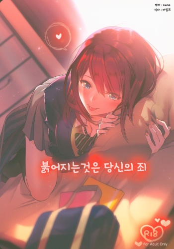 Akai wa Kimi no Toga | 붉어지는것은 당신의 죄 cover