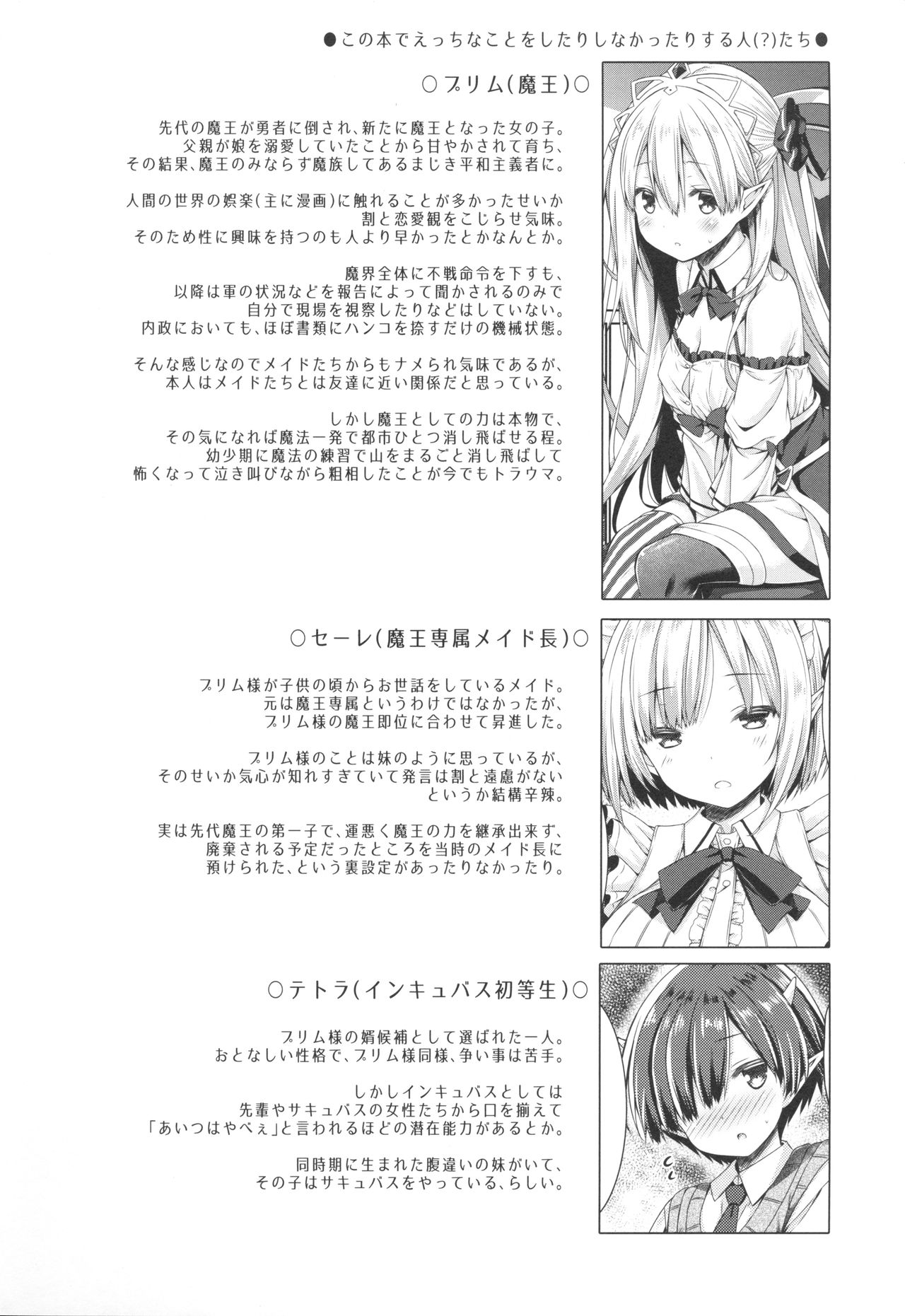 Maou-sama o Taosu no ni Yuusha mo Seiken mo Irimasen. page 3 full