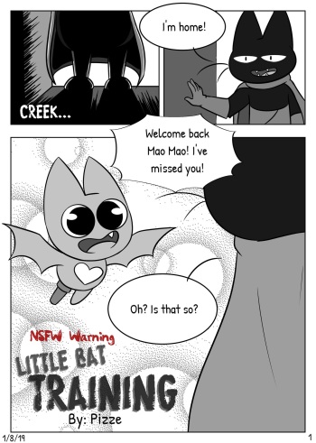 Little Bat Training cover
