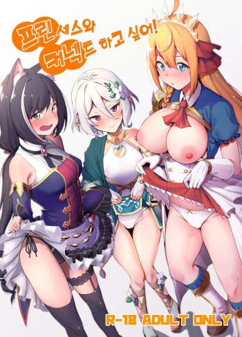 Princess to Connect Shitai! | 프린세스와 커넥트 하고 싶어! cover