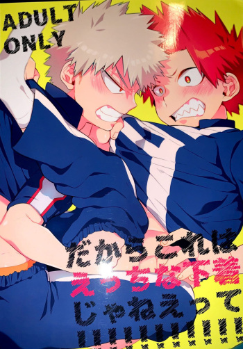 Dakara kore ha ecchi na shitagi  jyaneette!! cover