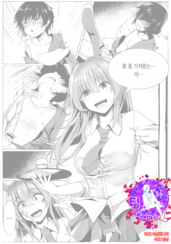 Hatsu cover