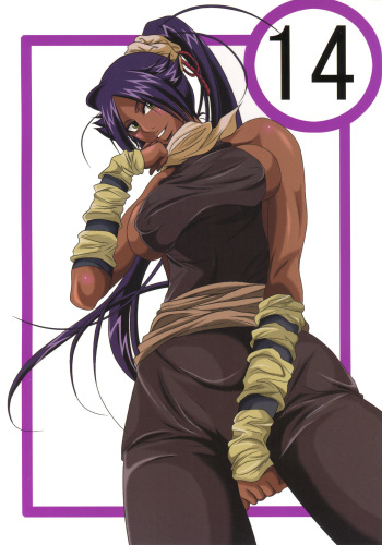 Benten Kairaku 14 cover