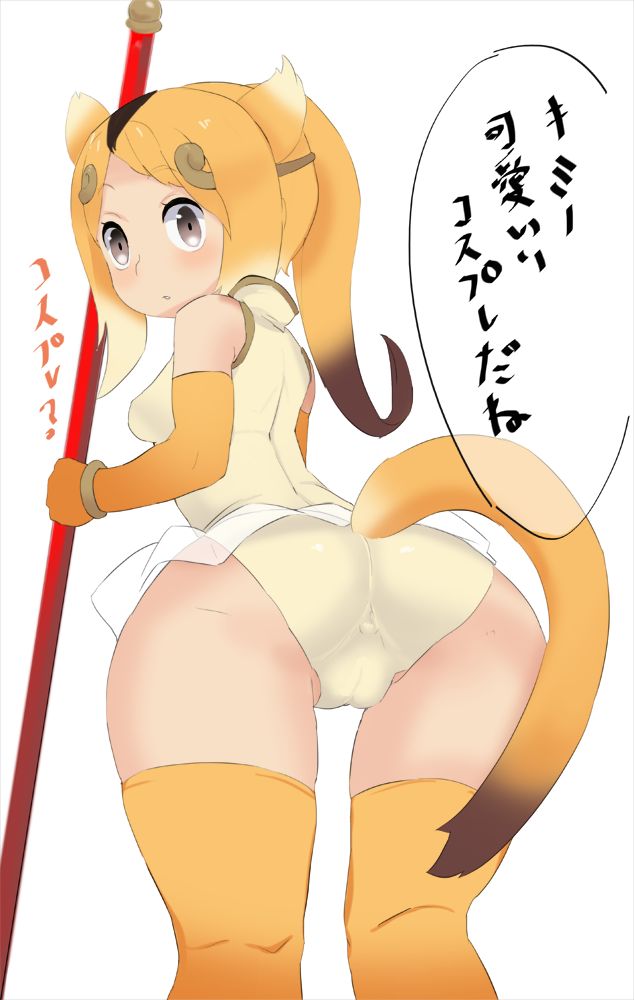 キンシコウ page 4 full