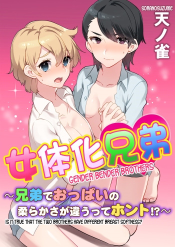 Nyotaika Kyoudai ~Kyoudai de Oppai no Yawarakasa ga Chigau tte Honto!?~ cover