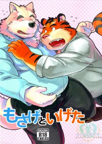 Mosage to Igeta cover