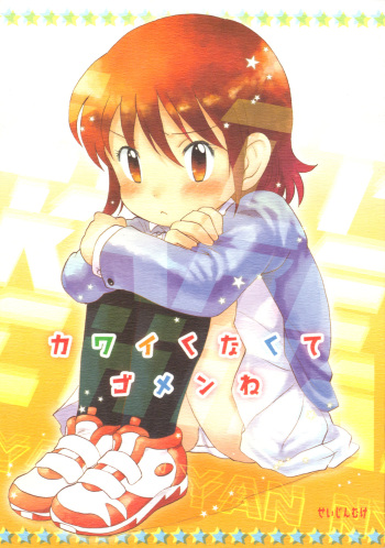 Kawaikunakute Gomen ne cover