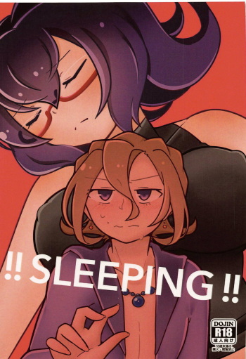!!SLEEPING!! cover