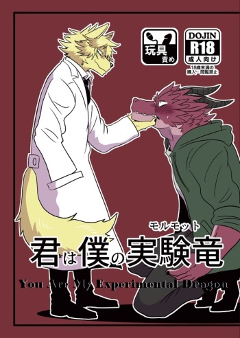 Kimi wa Boku no Marmot | You are My Experimental Dragon cover