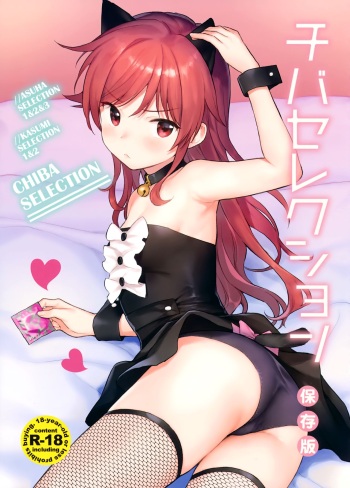 Chiba Selection Hozonban cover