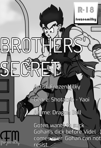 Brothers' Secret cover