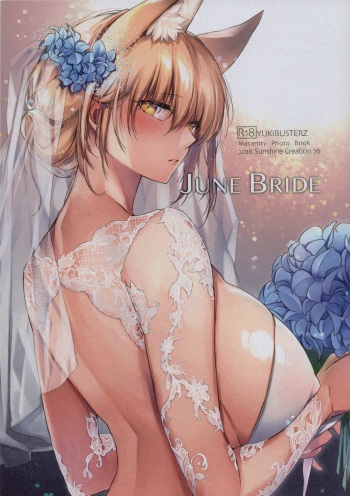 JUNE BRIDE Maternity Photo Book cover