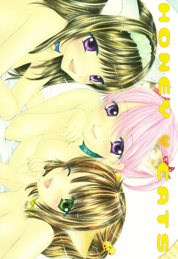 HONEY CATS cover