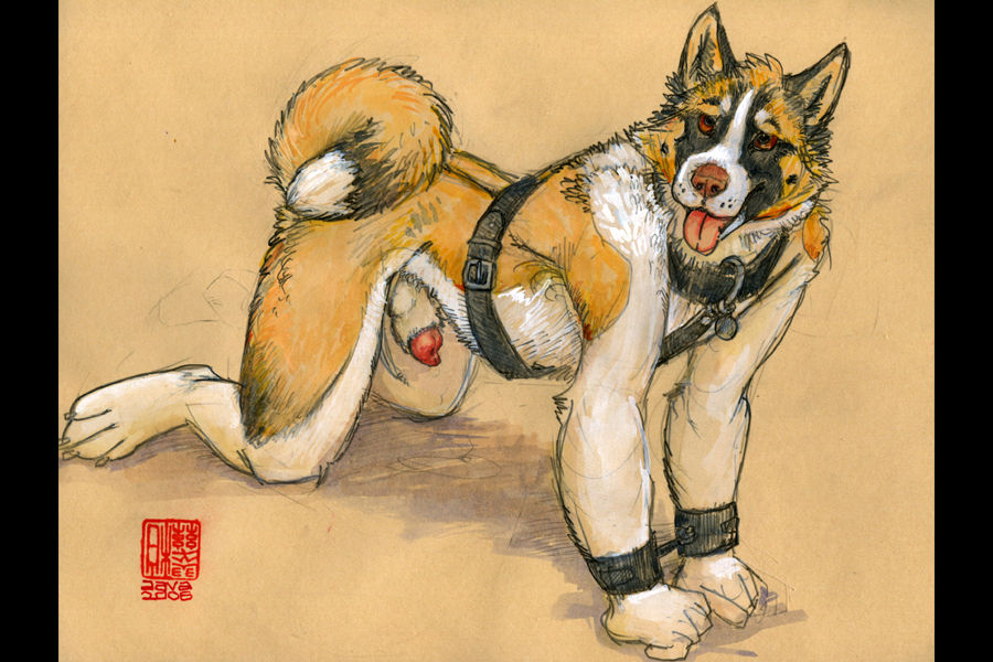 The Disqualified Portfolio page 5 full
