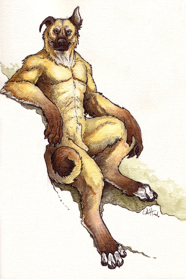 The Disqualified Portfolio page 6 full