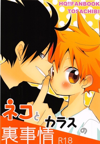Neko to Karasu no Ura Jijou cover