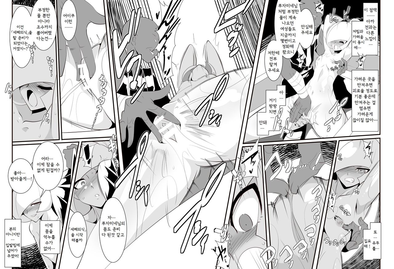 Lusamine no Junan | 루자미네의 수난 page 10 full