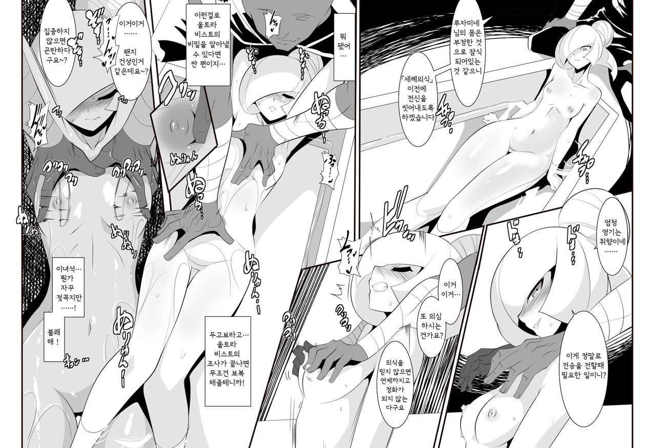 Lusamine no Junan | 루자미네의 수난 page 9 full