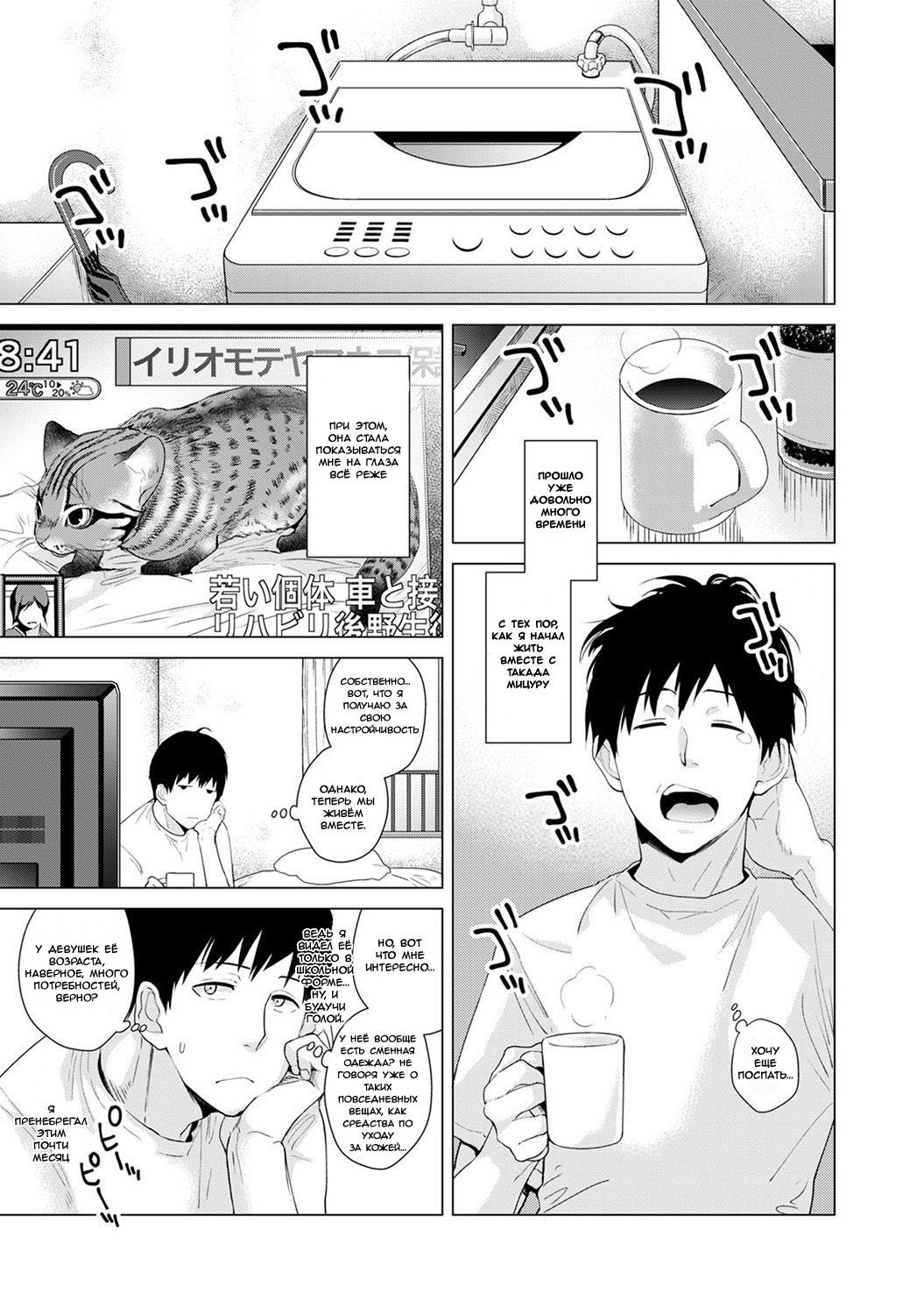 Noraneko Shoujo to no Kurashikata Vol.1 - Ch.2 page 2 full
