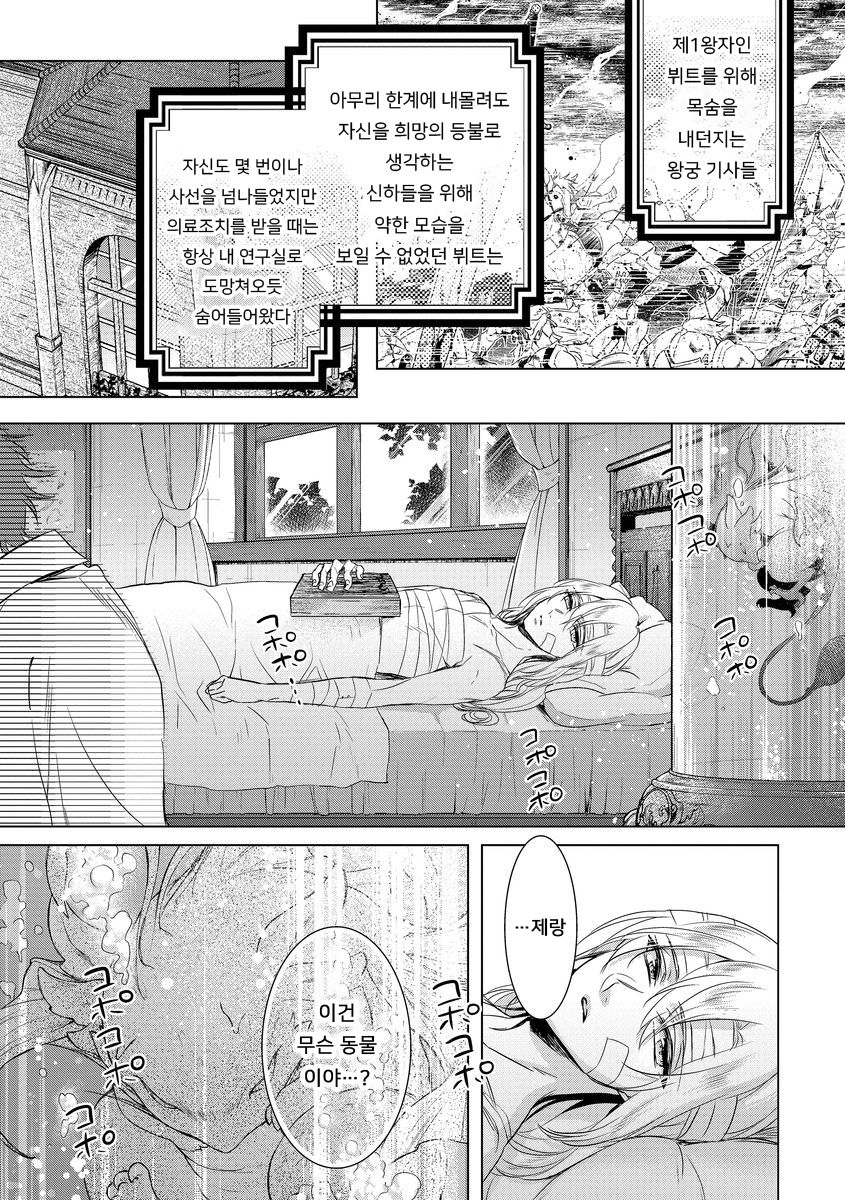 Kyououji no Ibitsu na Shuuai ~Nyotaika Knight no Totsukitooka~ Ch. 11 | 미친 왕자의 왜곡된 포로사랑 ~여체화 기사의 시월 십일~ Ch. 11 page 7 full