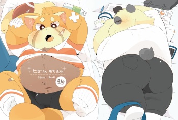 Himitsu no Mochi Fuwa cover